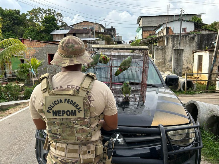 PF prende homem por pescado ilegal e caça de animais silvestres em Tabatinga