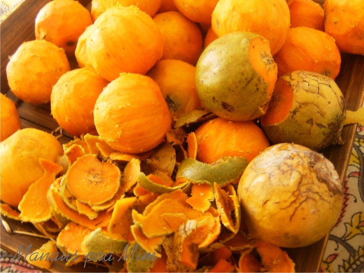 Investigação sobre surto de tucumã no Amazonas é encerrada após resultados inconclusivos