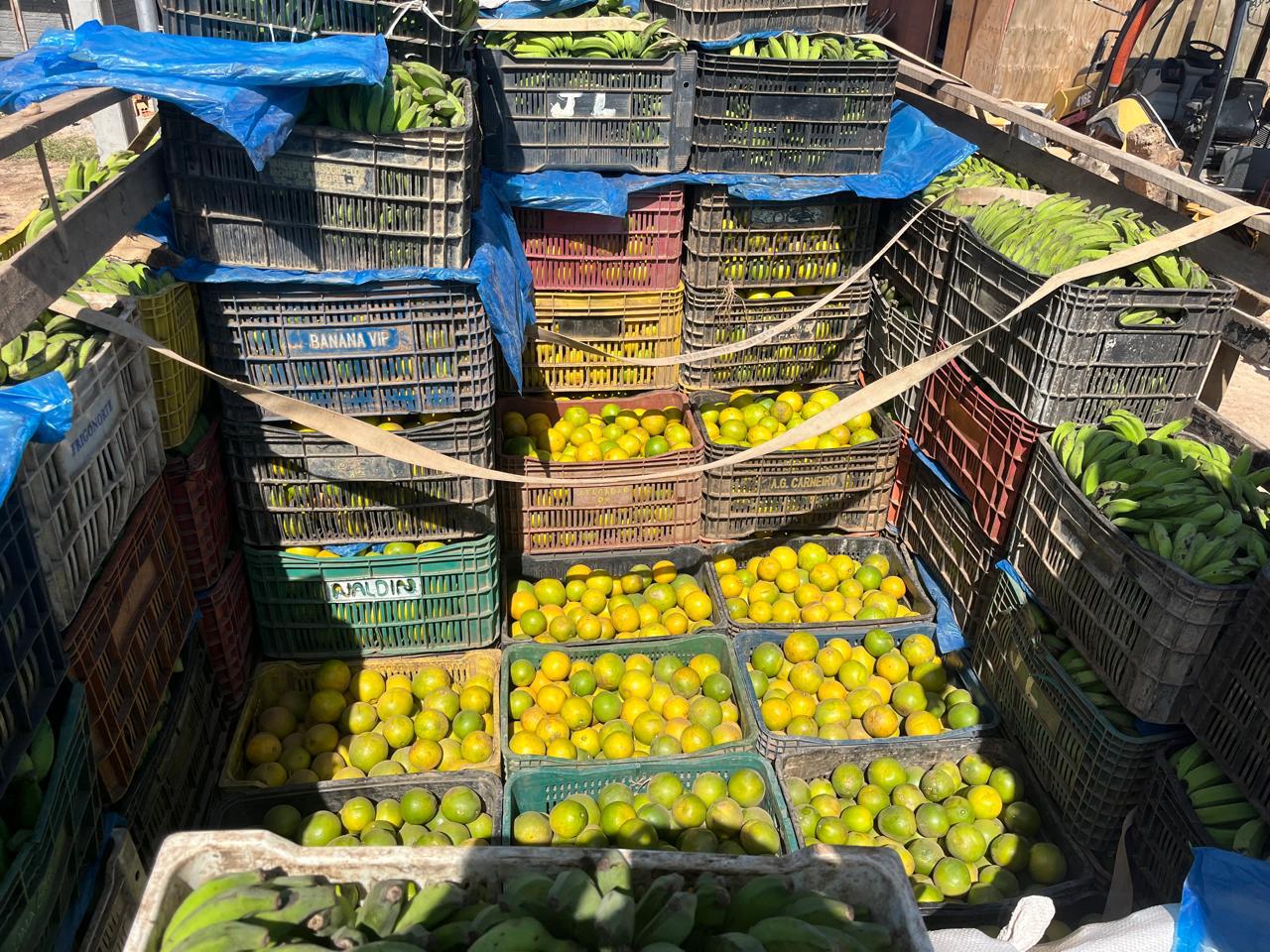 Adaf apreende 1 tonelada de laranjas escondida entre carga de banana que viria para Manaus