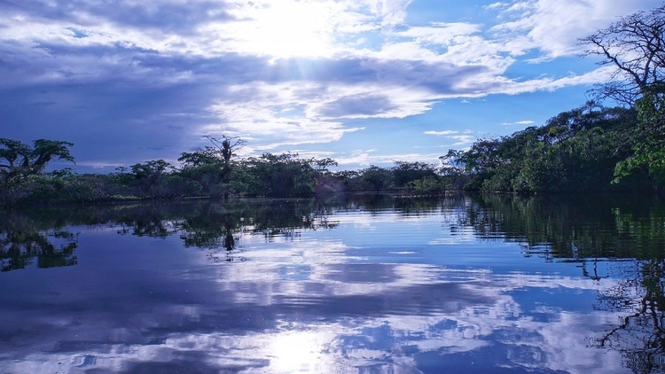 Militares da FAB são encontrados após terem se perdido na floresta no Amazonas