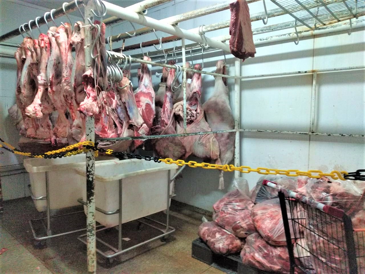 Mais de 1,6 toneladas de carne vencida são apreendidas em supermercado de Manaus