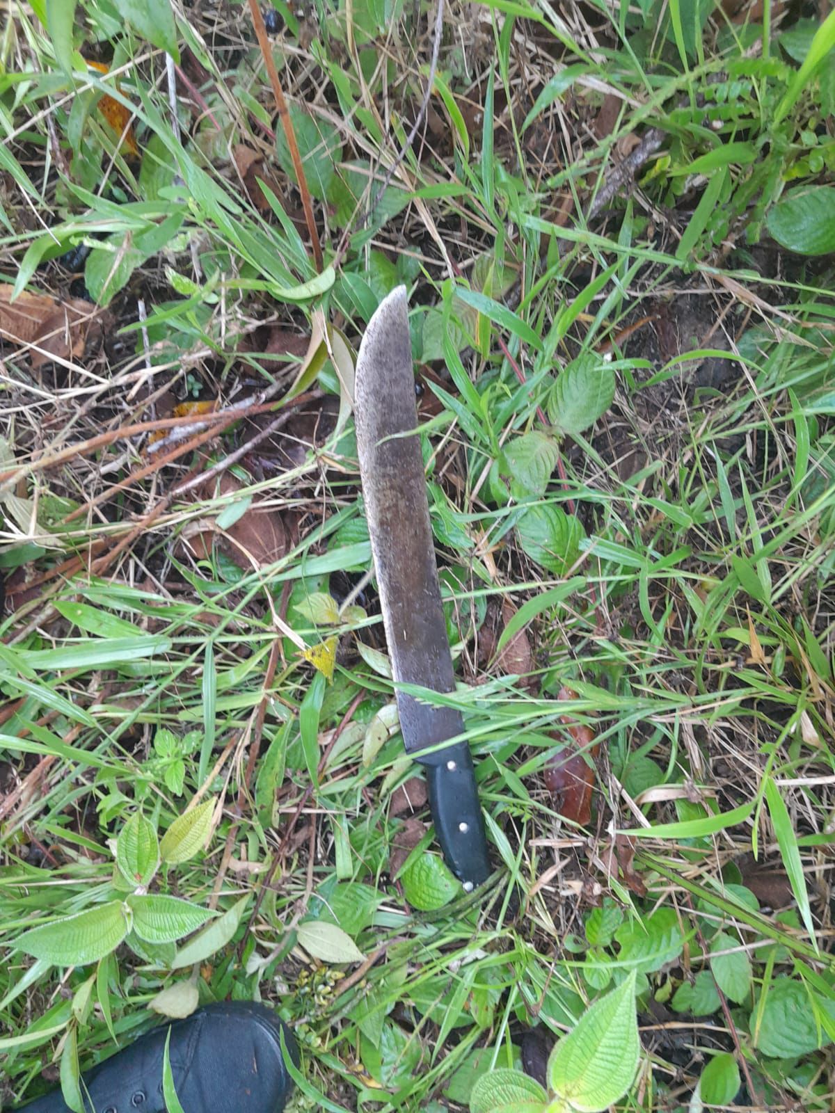  Homem é preso por matar o próprio irmão a facadas no Amazonas