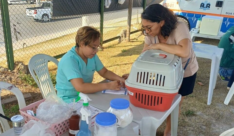 Atendimento veterinário gratuito será oferecido em Manaus neste domingo