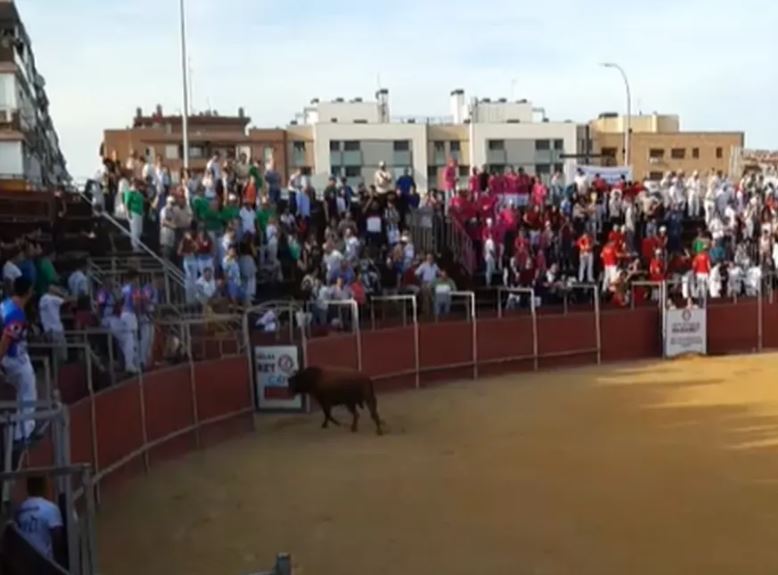 Funcionário morre após levar chifrada durante tourada na Espanha; Veja vídeo