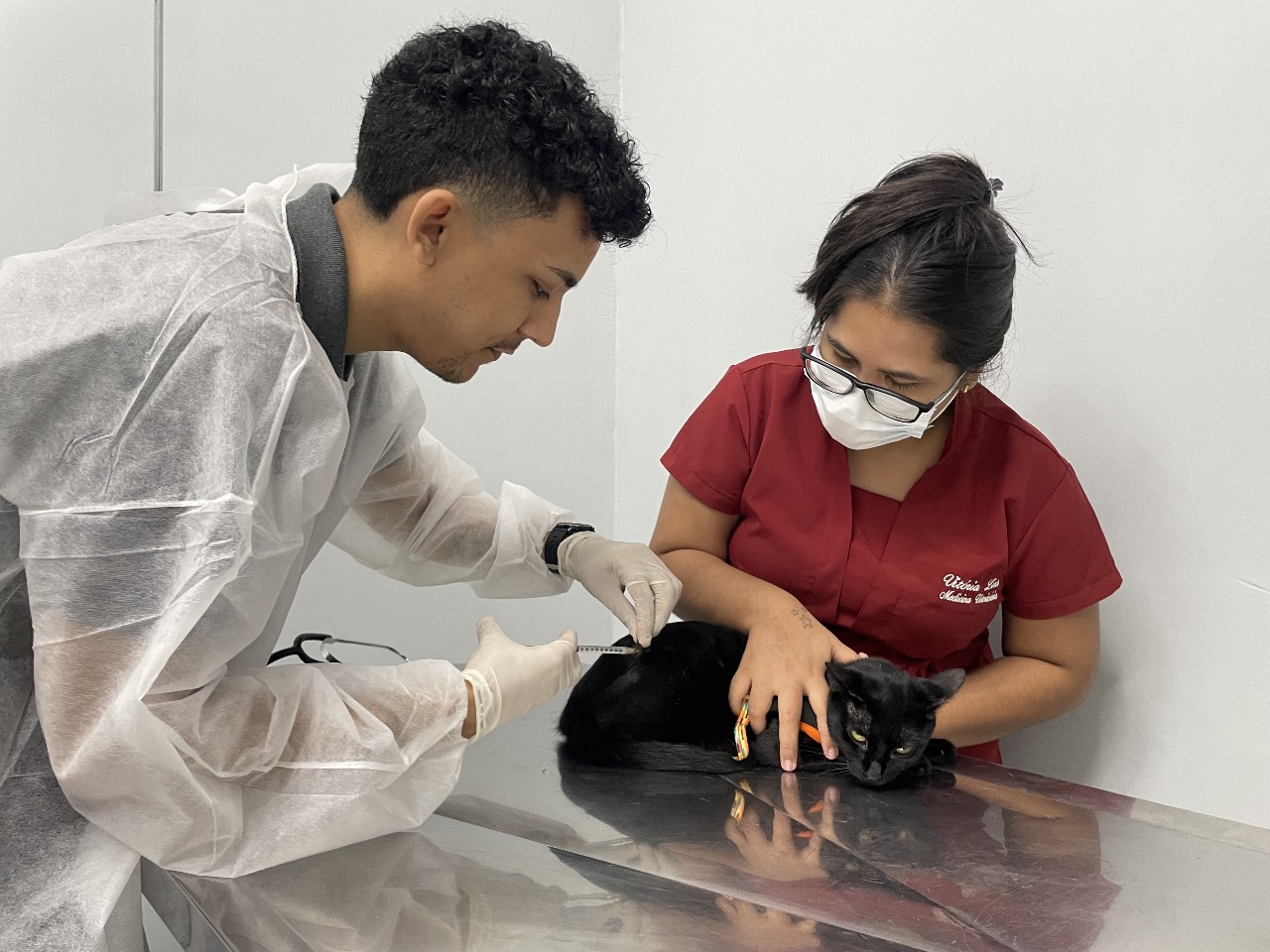Hospital Veterinário lança campanha com serviços e exames acessíveis em Manaus