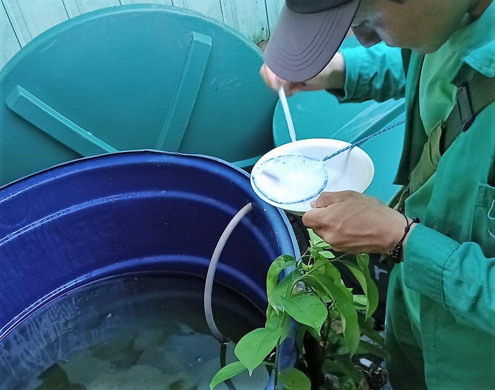 Para evitar surto, equipes de saúde intensificam combate a focos de dengue no Amazonas