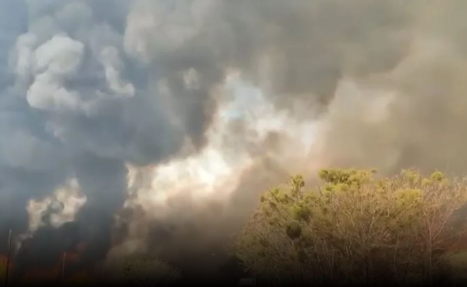 Incêndios florestais fazem governador de São Paulo decretar situação de emergência