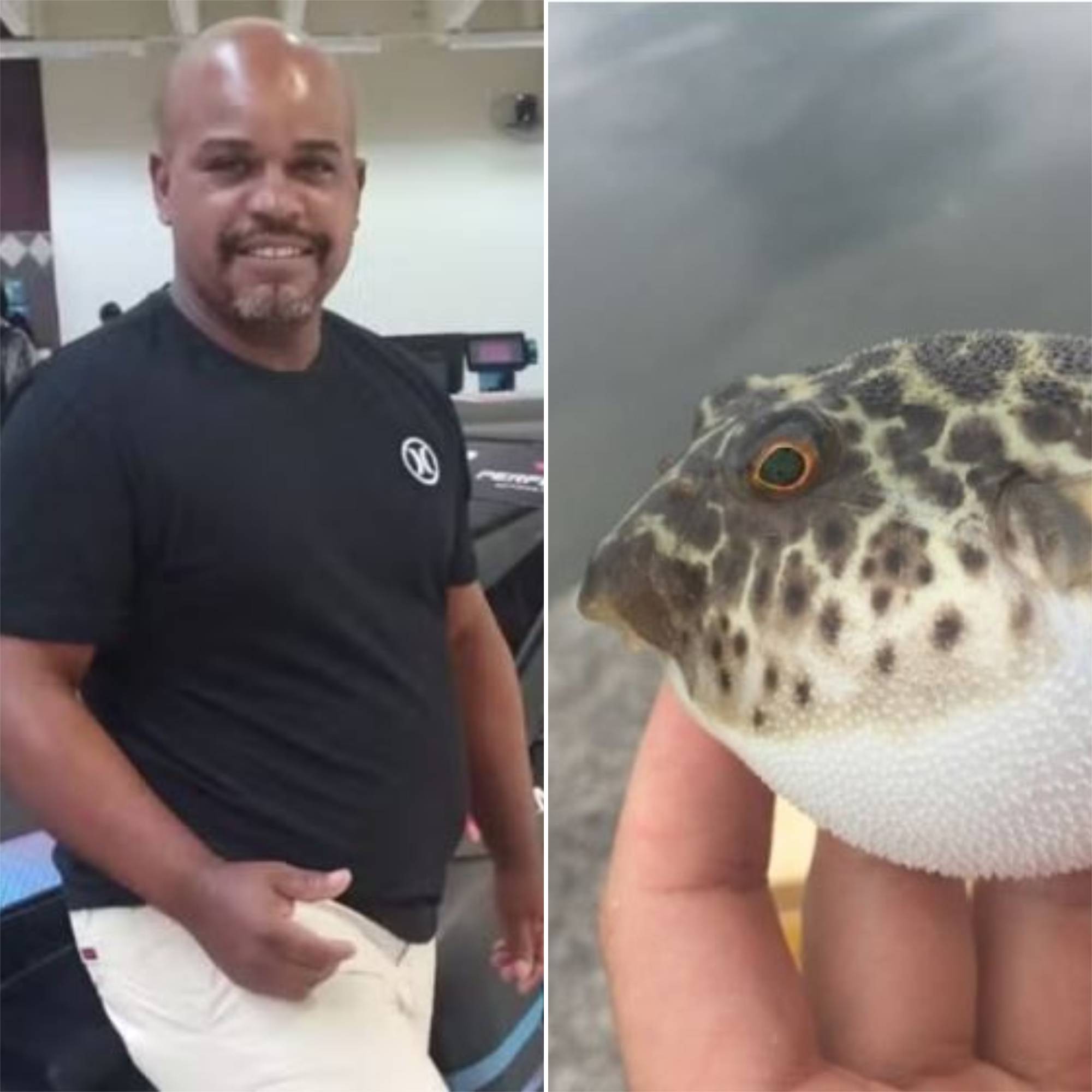 Homem morre envenenado ao comer baiacu com amigo 