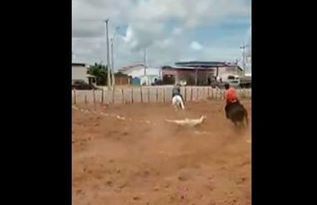 Vídeo: Homem quebra ossos do rosto ao ser arremessado de cavalo em vaquejada