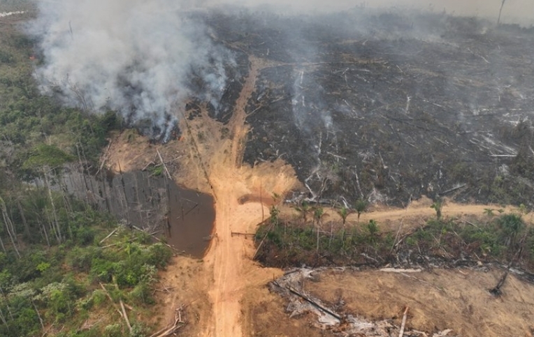 Responsáveis por desmatamento na Amazônia são condenados a restaurar áreas degradadas