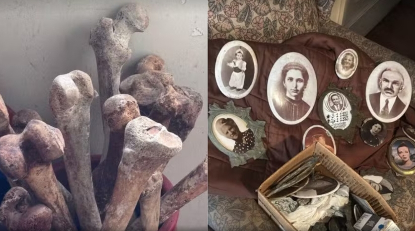 Homem encontra crânios e ossos humanos em apartamento de parente falecido em SP