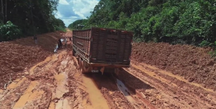Em reunião com Bolsonaro, Wilson Lima trata sobre reconstrução de trecho da BR-319