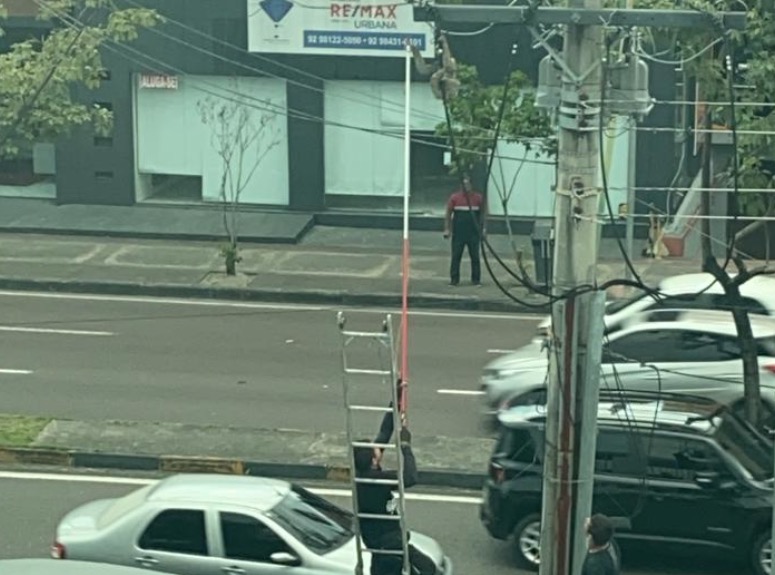 Bicho-preguiça fica preso em fios de alta tensão em avenida de Manaus