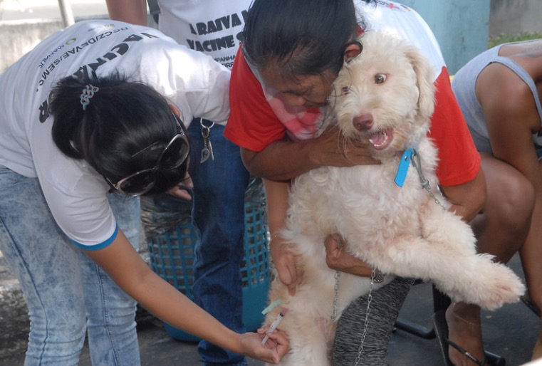 Semsa abre processo seletivo para contratação de 250 vacinadores com salário de R$ 1,1 mil