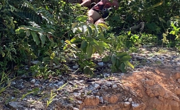 Com marca de tiro, corpo é encontrado em área de mata de Manaus