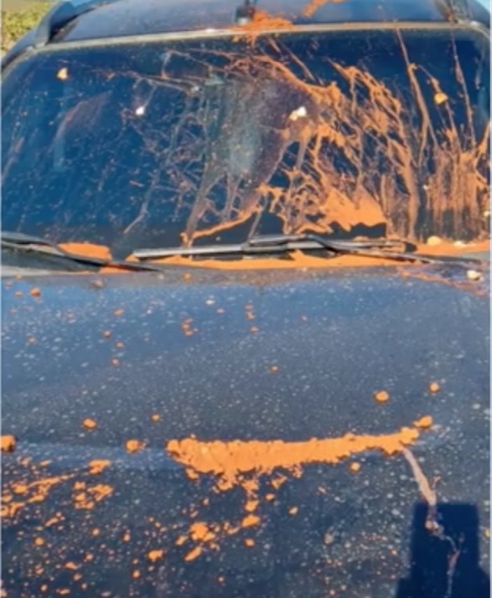 Juiz que mandou prender Milton Ribeiro tem carro atacado por fezes e ovos