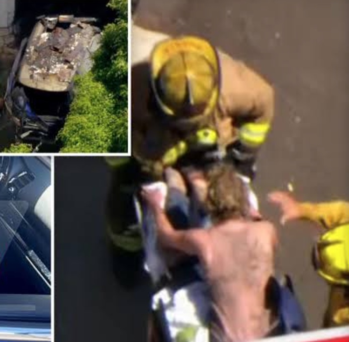  Vídeo chocante mostra atriz Anne Heche descontrolada tentando sair de maca após acidente de carro