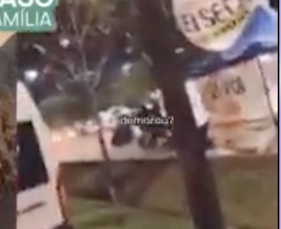 Vídeo mostra Bruno Krupp debochando de blitz da Lei Seca 3 dias antes de matar adolescente em acidente