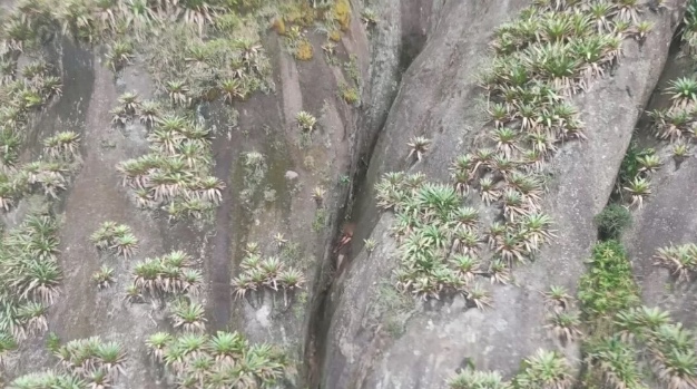 Jovem desaparecido é encontrado nu preso dentro de fenda de 100 metros de profundidade