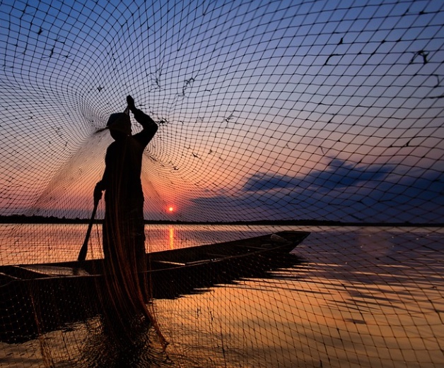 Período de defeso de espécies no Amazonas começa nesta terça-feira