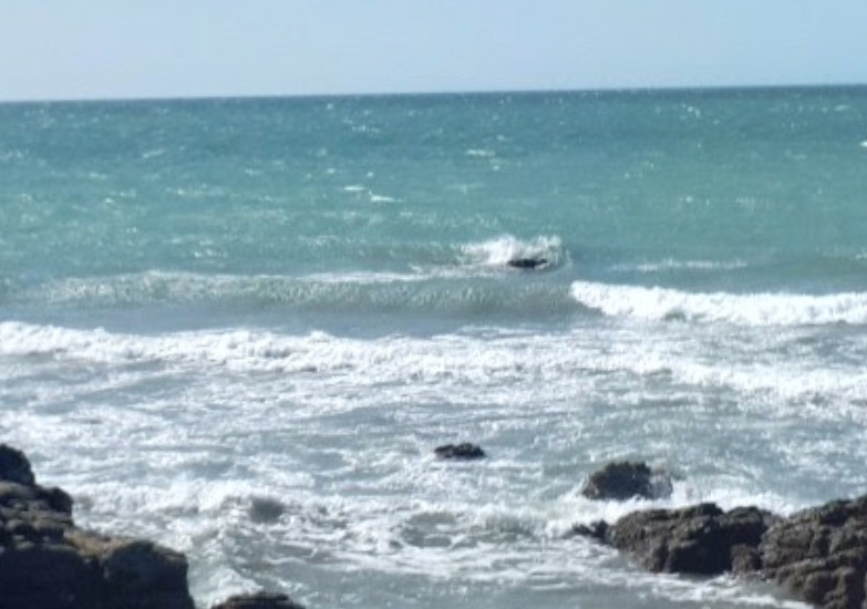 Bombeiro nada no mar por quatro horas após ficar desaparecido no CE