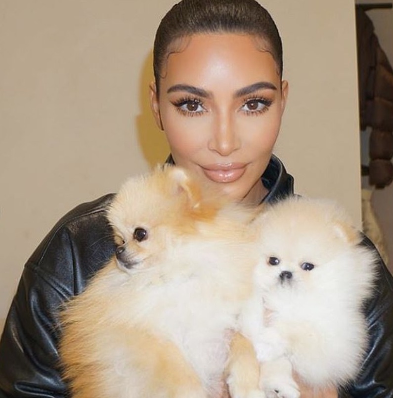 Kim Kardashian apaga vídeo após filha mostrar como cachorros da família são tratados