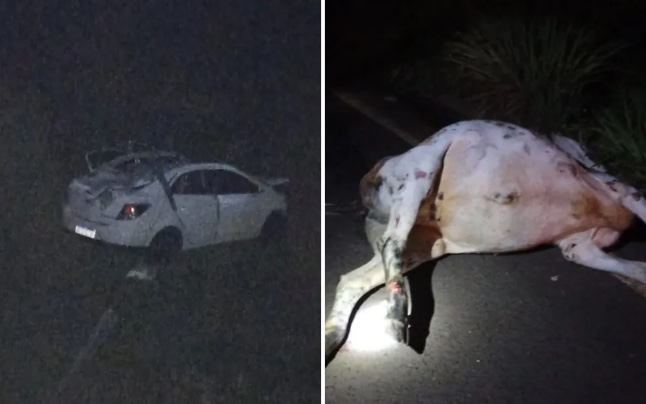 Locutor de rodeio e amigo morrem após carro atropelar vaca em rodovia