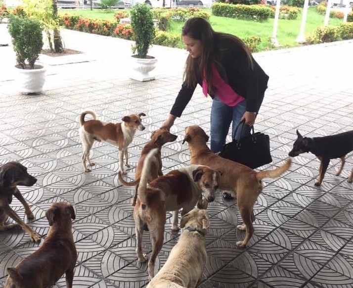 Joana Darc repudia e fala em retrocesso proibir alimentação de animais nas dependências da CMM