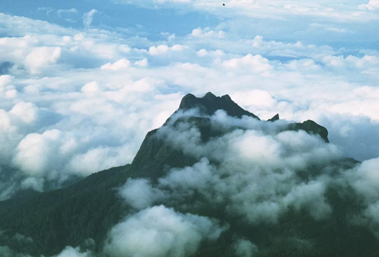 Garimpeiros chegam no Pico da Neblina no Amazonas, denunciam organizações indígenas