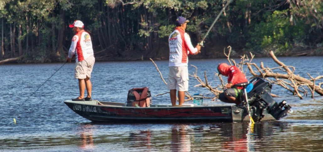Sancionada lei que proíbe a pesca do tucunaré em Manaus