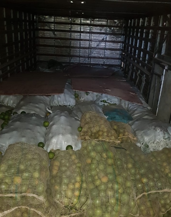 Caminhão cheio de frutas hospedeiras de pragas é interceptado antes de chegar a Manaus