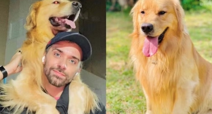 Governo lança comissão para criar normas de transporte aéreo de pets após morte do cão Joca 