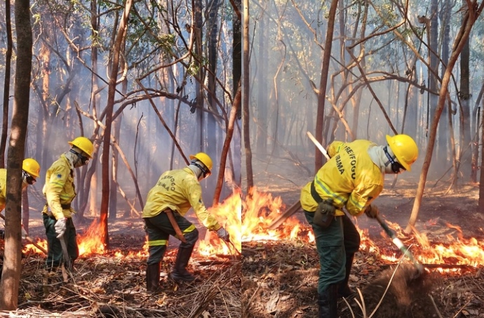 MPAM multa em R$ 1,3 milhão proprietária de fazenda por área desmatada