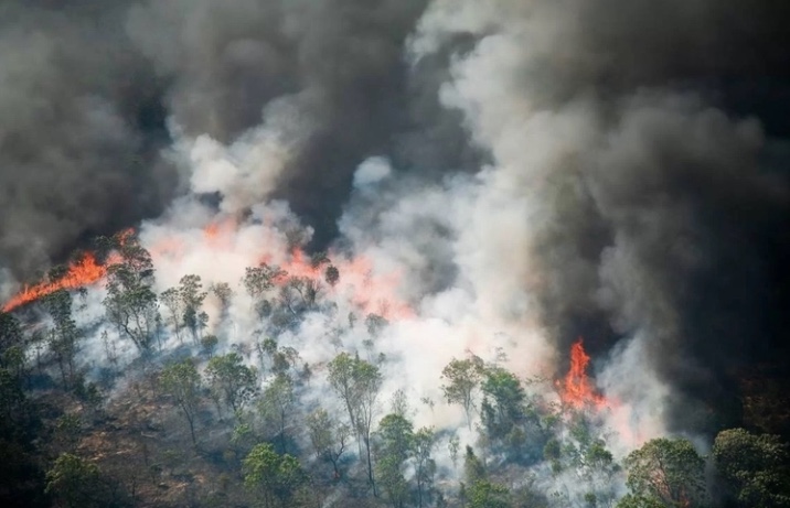 Brasil bate recorde de emissão de carbono, aponta monitoramento