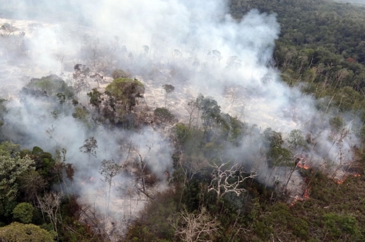 Justiça do Amazonas adota monitoramento em tempo real para processos de incêndios florestais