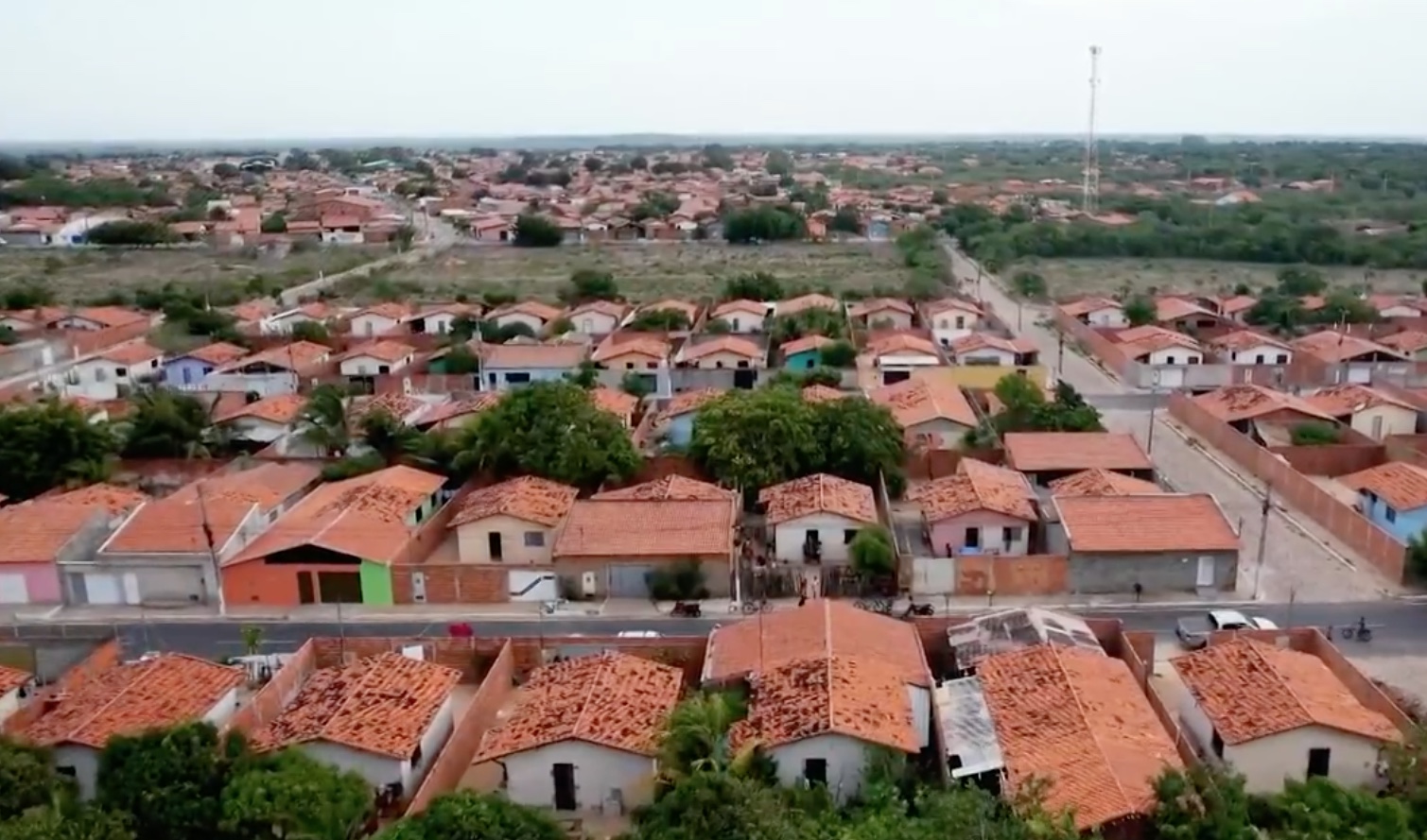 Novo laudo aponta que mulher acusada de envenenar irmãos com cajus pode ser inocente