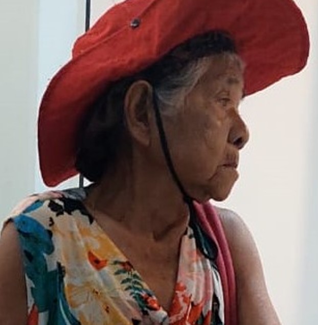 Família pede ajuda para encontrar idosa desaparecida em Novo Airão