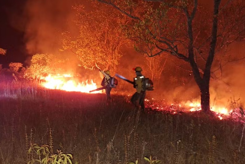 Amazonas expande bases dos Bombeiros e reforça combate a queimadas em 16 municípios