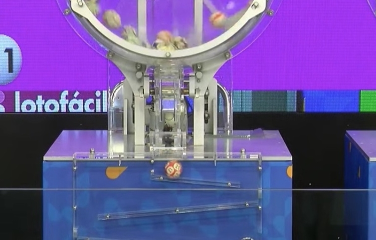 Quina, Lotofácil e mais: veja resultados das loterias sorteadas nesta quarta-feira