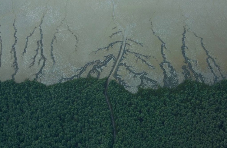 Petrobras e Ibama agendam simulado decisivo para perfuração na Foz do Amazonas