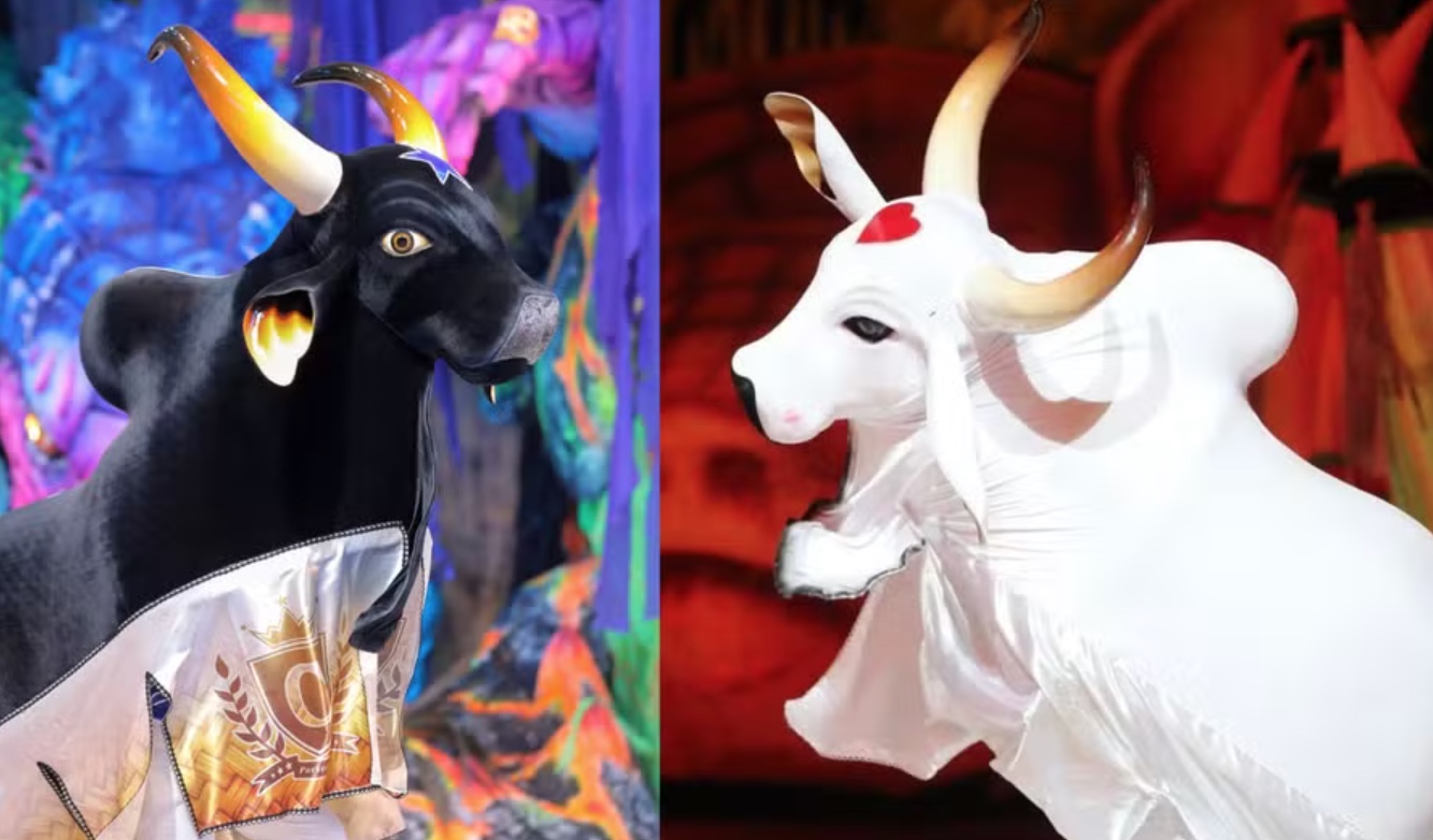 Pesquisa em Manaus indica empate técnico entre torcidas de Caprichoso e Garantido