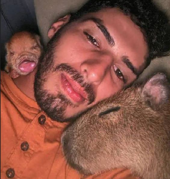 Ibama se manifesta sobre multa a influencer Agenor Tupinambá por criar capivara Filó