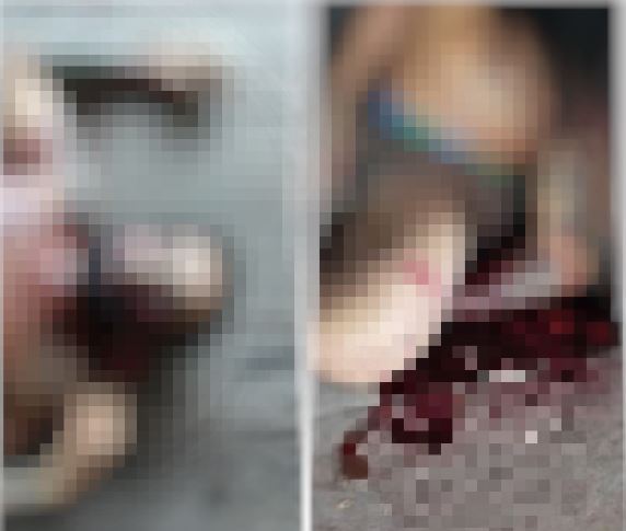 Gêmeos são executados a tiros dentro de casa em estrada no Amazonas 