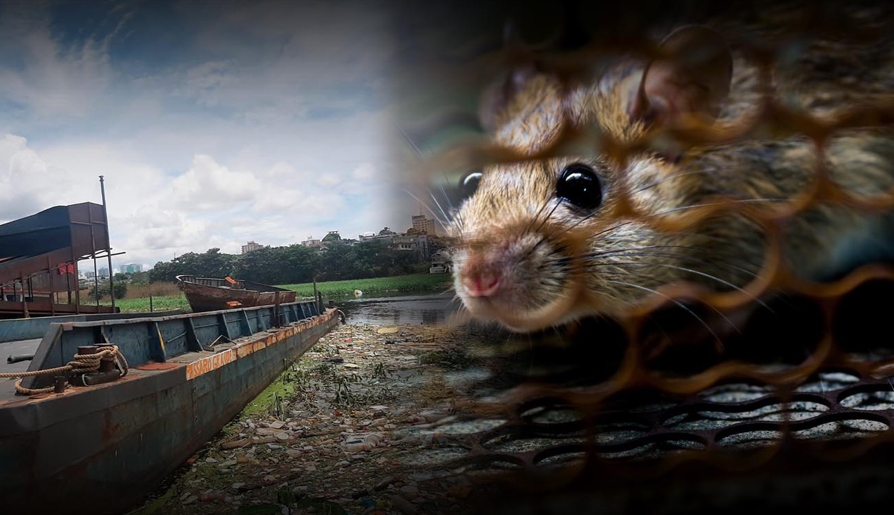 Congresso Nacional de Leptospirose na Amazônia reunirá grandes nomes da saúde pública