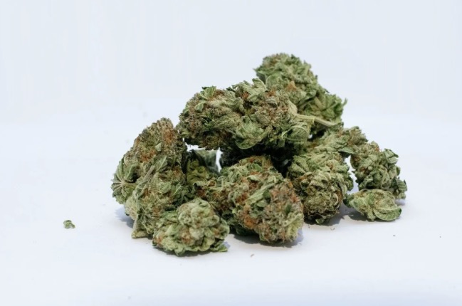 Venda de álcool e maconha é proibida para não vacinados e vacinação aumenta 300% no Canadá