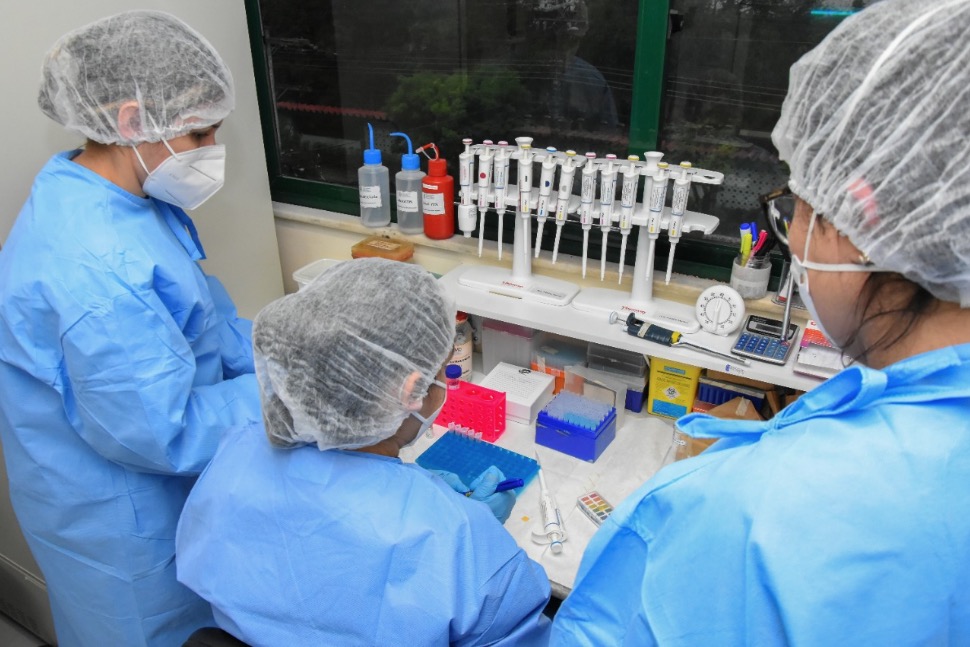 Estudo identifica proteínas associadas a lesões do câncer do colo do útero no Amazonas