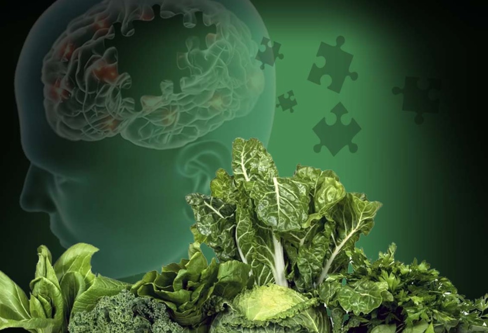 Estudo revela que Vitamina K protege contra Alzheimer; saiba em quais alimentos encontrar