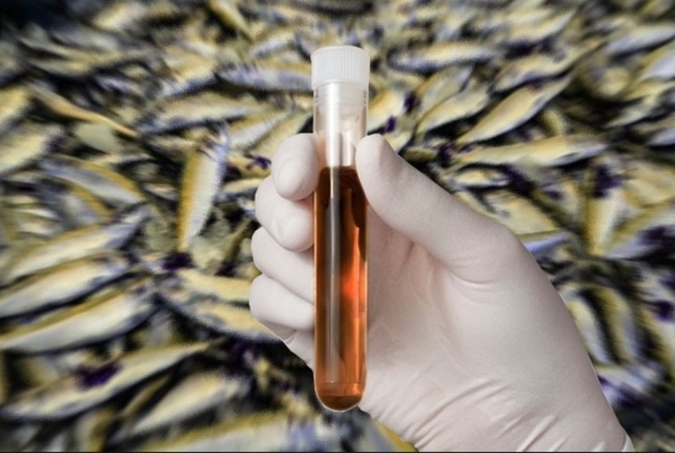 Sobe para 42 o número de casos de Doença da Urina Preta no Amazonas