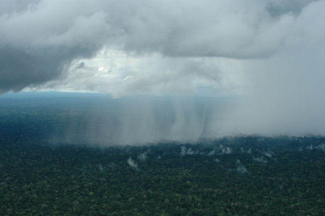 Cidades do Amazonas registram tempestades com chuva acima de 80 mm 
