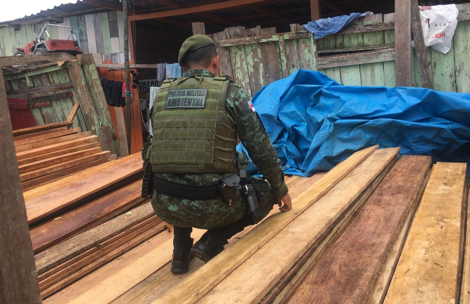 Madeira ilegal avaliada em R$ 12 mil é encontrada em depósito clandestino em Manaus